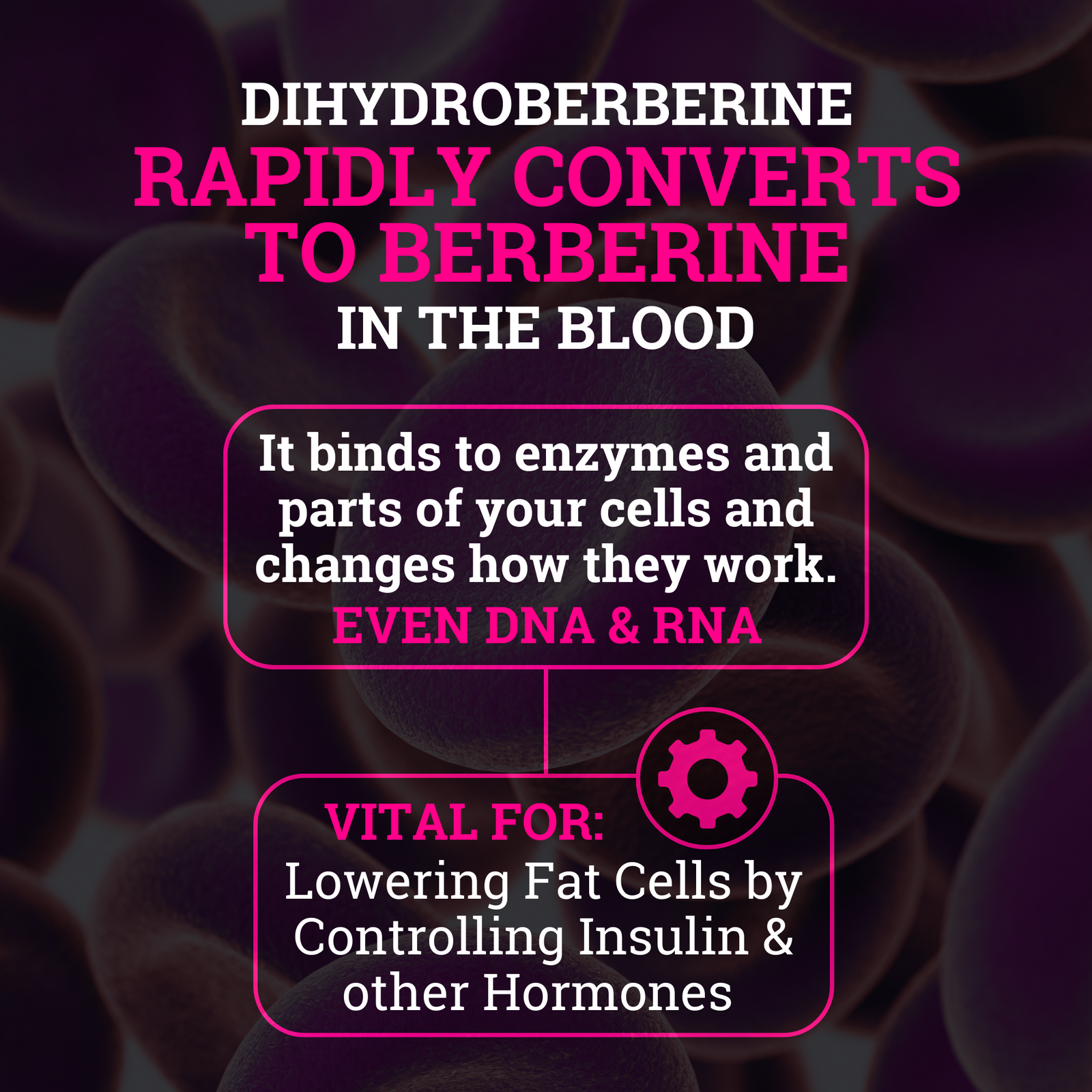5x Berberine™ Enhanced with Ceylon Cinnamon 5