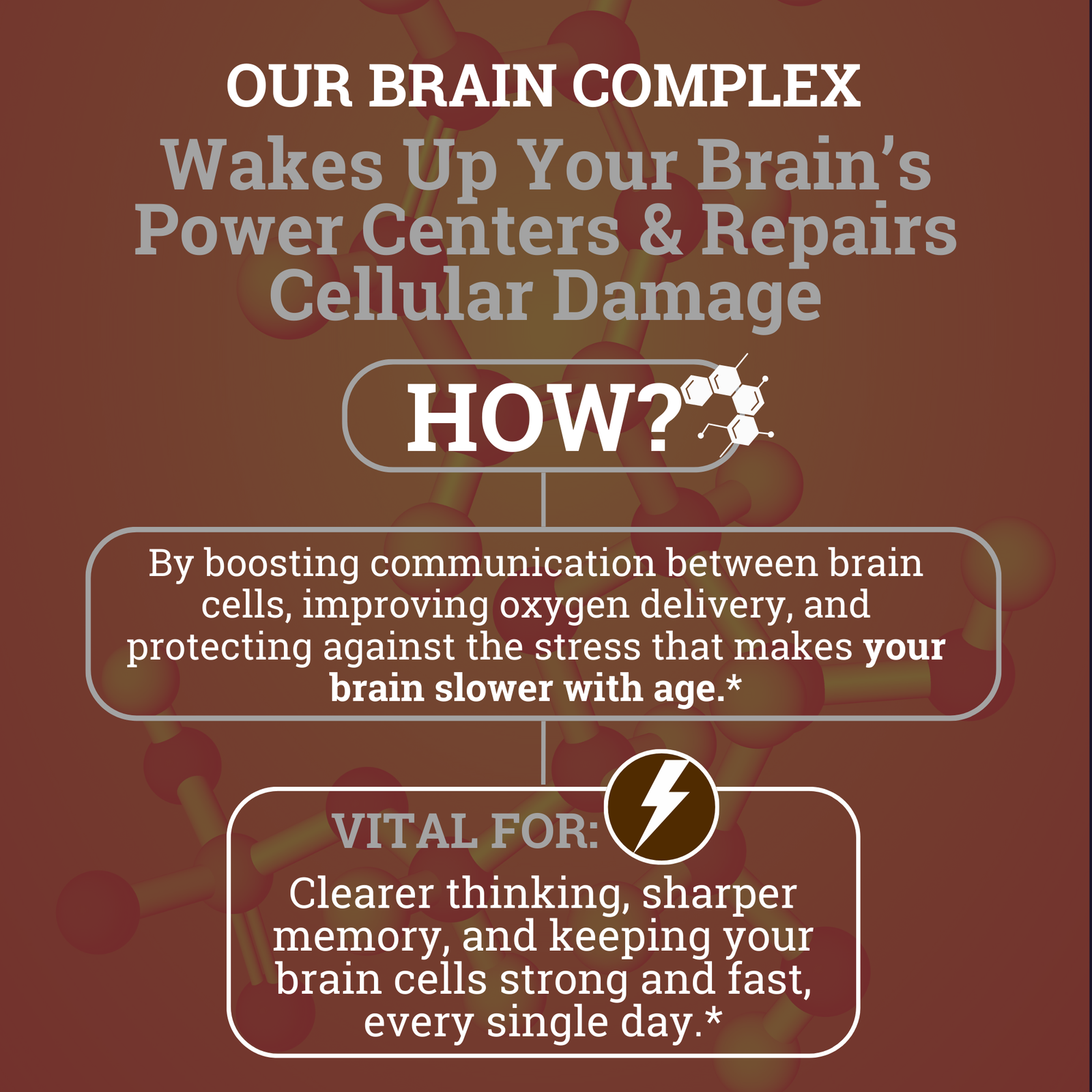 Brain Complex 7