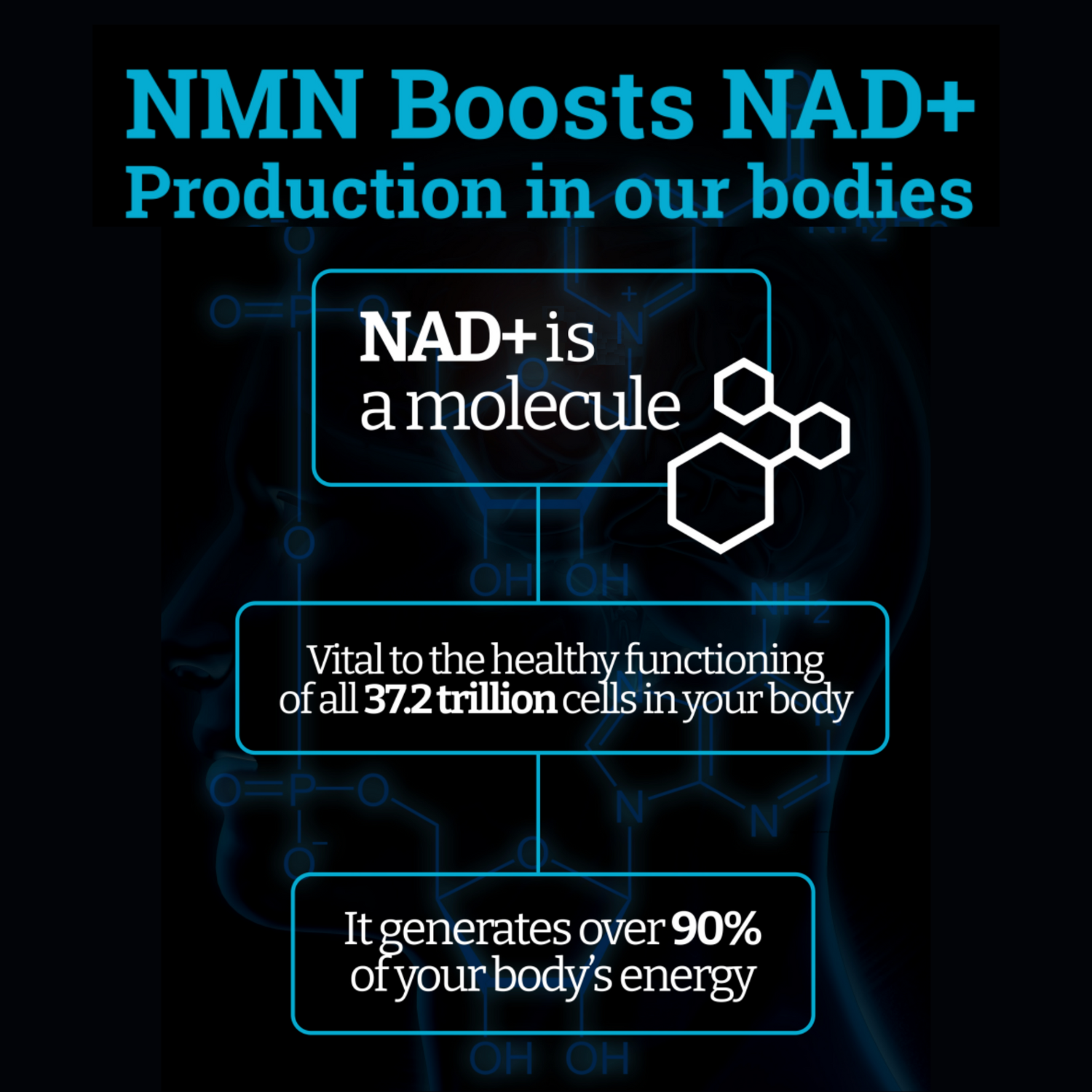 NMN 1000mg 3
