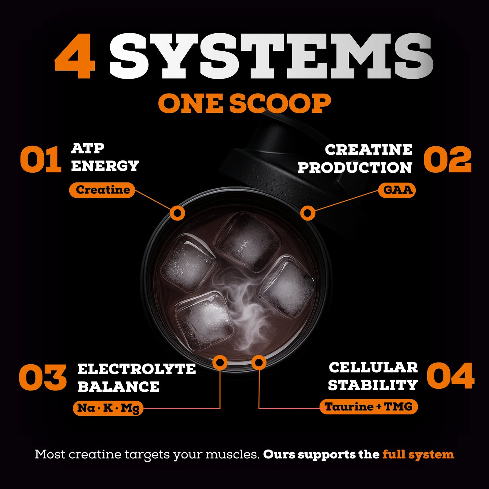 Serious Creatine™ 10