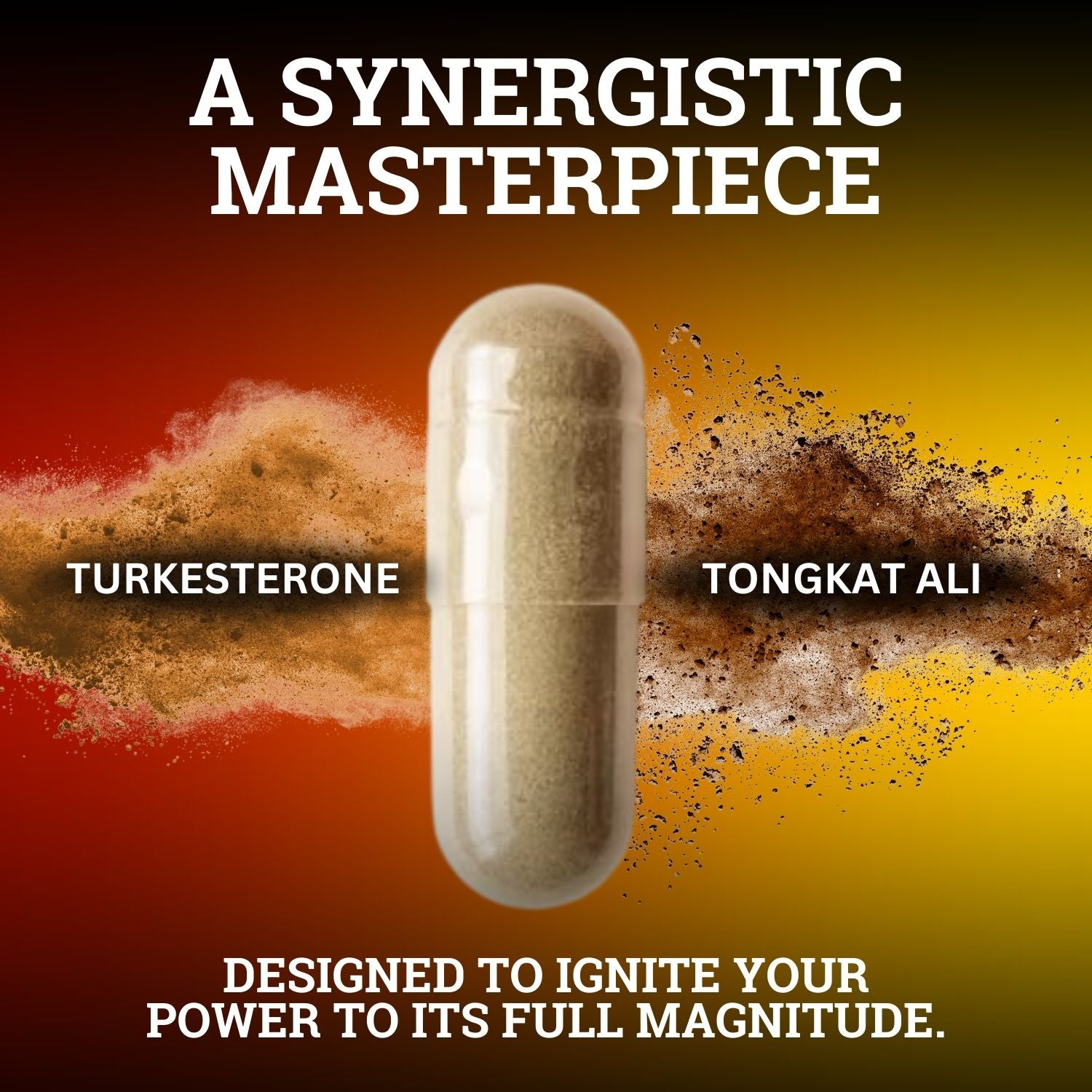 Turkesterone & Tongkat Ali 5